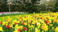 121 Holland, Impressionen im Keukenhof