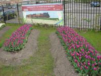 Werbung auf dem Bahnhof in Hoorn