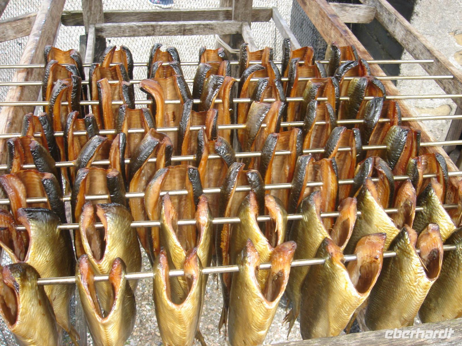 Frischer Hering im Zuiderzeemuseum