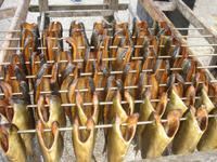 Frischer Hering im Zuiderzeemuseum