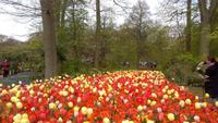 Keukenhof
