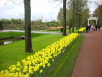 Keukenhof