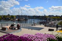 055 Amsterdam, auf dem Dach des Nemo Sience Museums