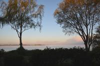 077 Morgen am Veluwemeer