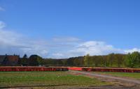 078 Blumenfelder bei Lisse