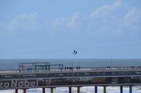 116 Spass auf der Seebrücke von Scheveningen