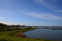 119 Lelystad, Batavia Stad vom Houtribdijk