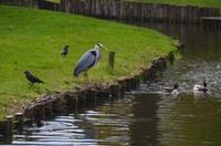 176 Zuiderzeemuseum Enkhuizen