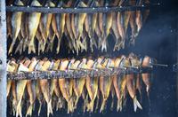 177 Zuiderzeemuseum Enkhuizen