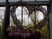 Keukenhof - Orchideenshow