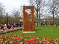 Keukenhof 