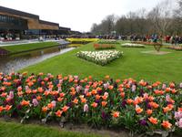 Keukenhof 