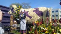 Lisse, Blumencorso, Thema- Kultur