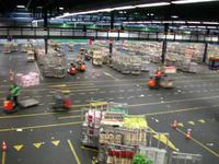 Blumenversteigerung in Aalsmeer 