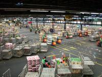 Blumenversteigerung in Aalsmeer 