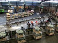 Blumenversteigerung in Aalsmeer 