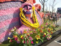 Blumencorso