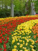 Keukenhof