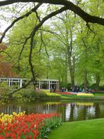 Keukenhof