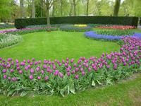 Keukenhof