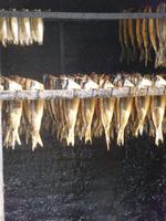 Zuiderzeemuseum Enkhuisen