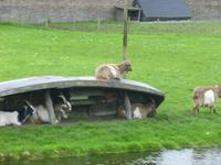 Zuiderzeemuseum Enkhuisen