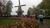 Lissse, Keukenhof