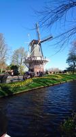 Holländermühle auf dem Keukenhof