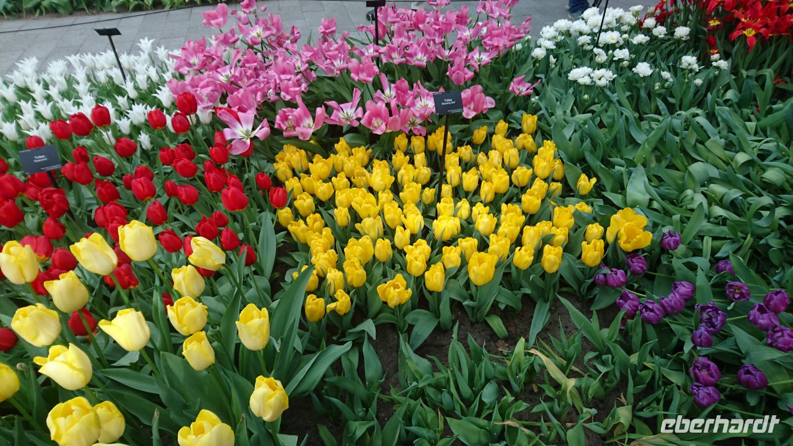 Nah beieinander und doch schön