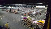 Logistik pur mit Millionen von Blumen tagtäglich in Aalsmeer