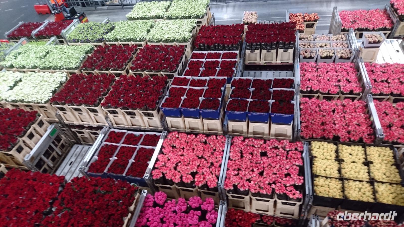 Frische versteigerte Ware