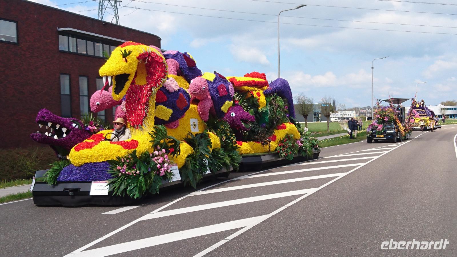 Drachen, Schlangen, Saurier, alle sind dabei