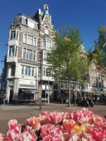 Tulpen in Amsterdam
