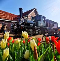 Die Tulpen fehlen im Frühjahr in den Niederlanden nirgendwo, Bahnhof Hoorn