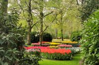 Üppig blühende Wiesen, Keukenhof Lisse