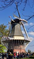 Windmühle im Keukenhof