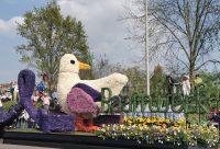 Dieser Vogel aus Blütenblättern konnte sogar den Kopf bewegen, Blumencorso, Lisse