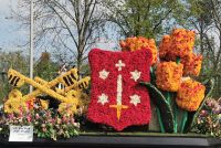 Blumencorso, Lisse