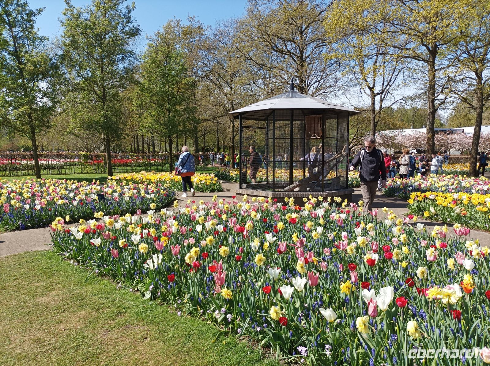 Keukenhof