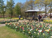 Keukenhof