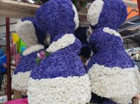 Blumenaufbau Sassenheim