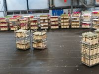 Blumenaufbau Sassenheim