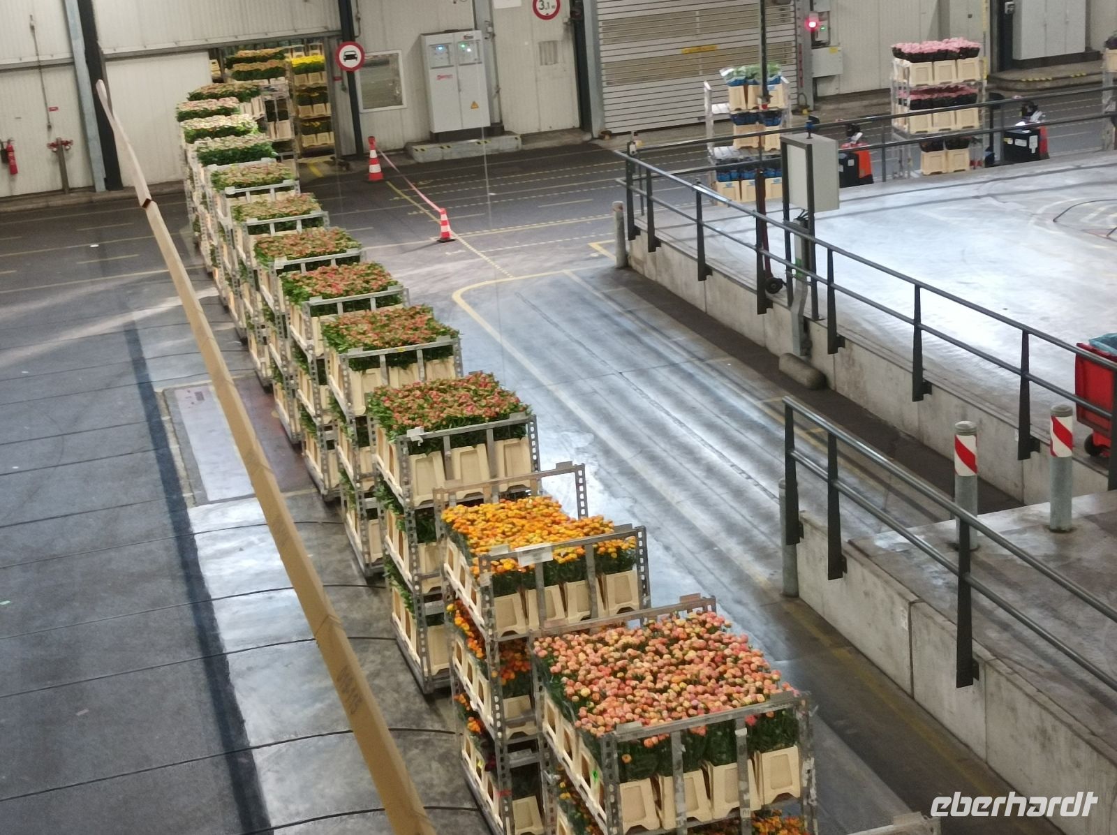 Blumenaufbau Sassenheim