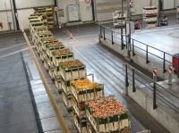 Blumenaufbau Sassenheim