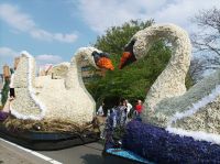 Sassenheim, Blumencorso