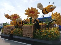 Sassenheim, Blumencorso