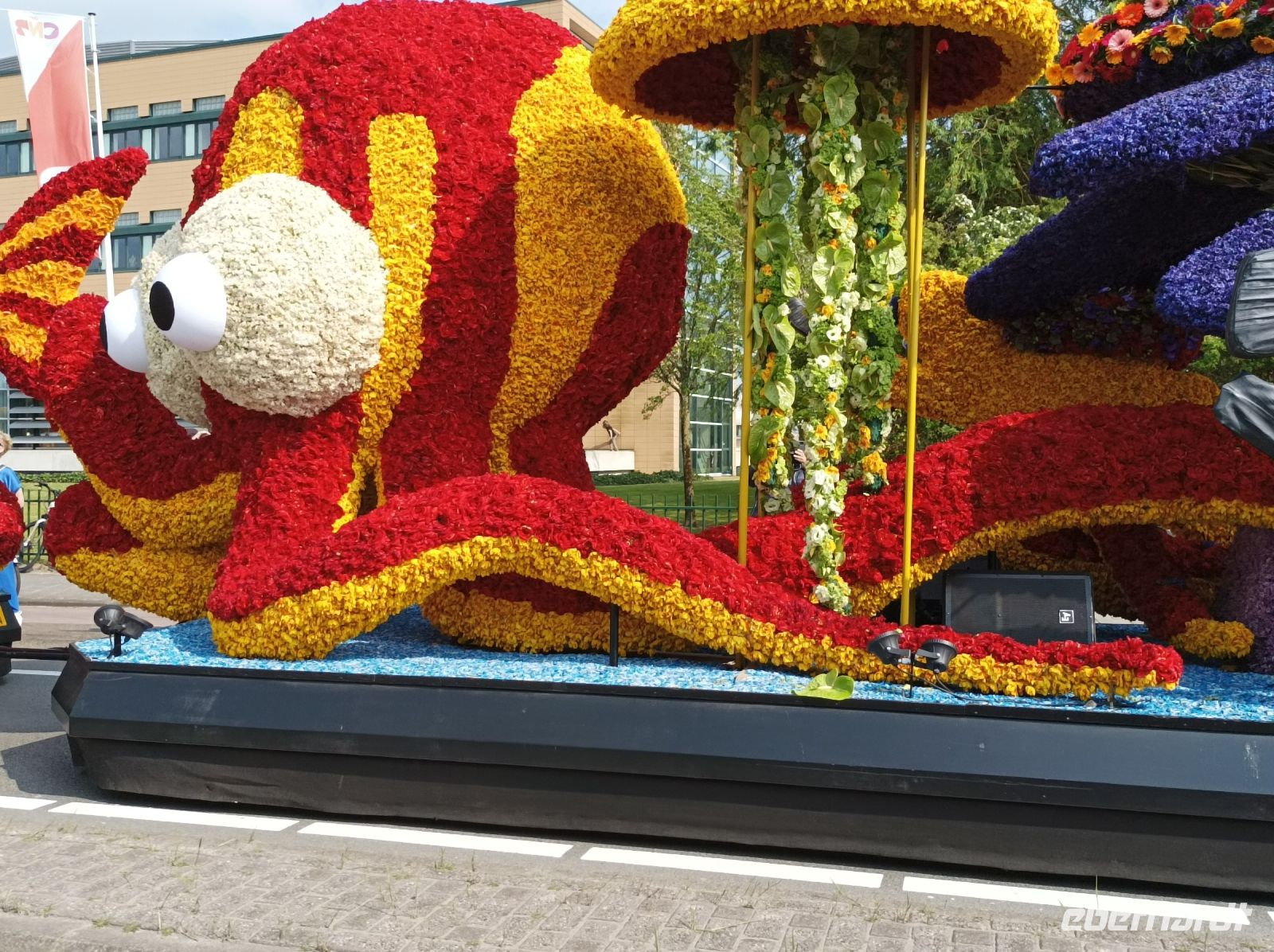 Sassenheim, Blumencorso