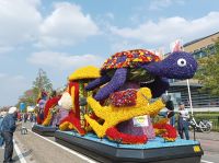 Sassenheim, Blumencorso