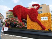 Sassenheim, Blumencorso