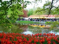 Im Keukenhof